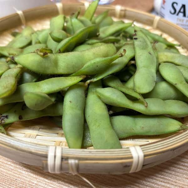 無農薬【数量限定】早生黒枝豆(2024販売終了)