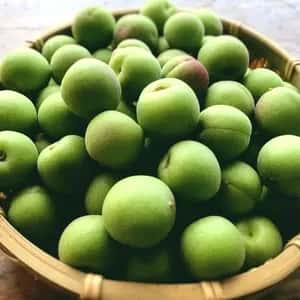 自然栽培の梅(小梅)　2kg