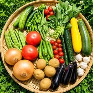 信州の朝霧と寒暖差が育てた　とれたて旬の野菜セット【農薬・化学肥料不使用】（現在は夏野菜セット♪）