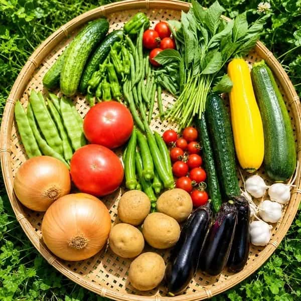 信州の朝霧と寒暖差が育てた　とれたて旬の野菜セット【農薬・化学肥料不使用】（現在は夏野菜セット♪）
