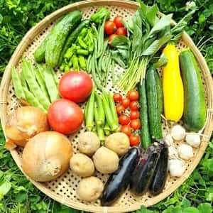 信州の朝霧と寒暖差が育てた　とれたて旬の野菜セット【農薬・化学肥料不使用】（現在は夏野菜セット♪）