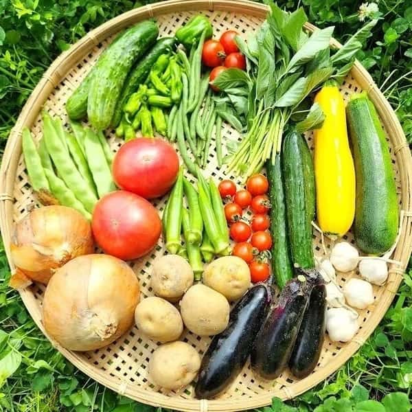 信州の朝霧と寒暖差が育てた　とれたて旬の野菜セット【農薬・化学肥料不使用】（現在は夏野菜セット♪）