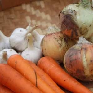 毎日の食卓が整う＜ふたばたけの根菜セット＞農薬・化学肥料不使用