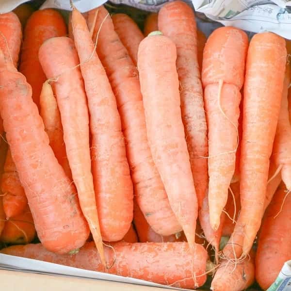 固定種にこだわった甘みの強い＜人参＞農薬・化学肥料・動物性肥料不使用