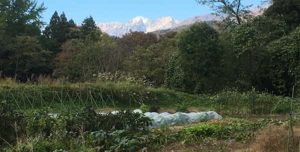 ふたつき農園ロゴ