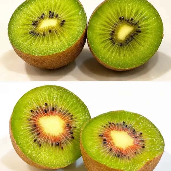 ２品種セット各１kg　香川県の希少な最新品種〈さぬきエメラルド〉赤い天使の輪〈さぬきエンジェルスイート〉栽培期間中農薬不使用