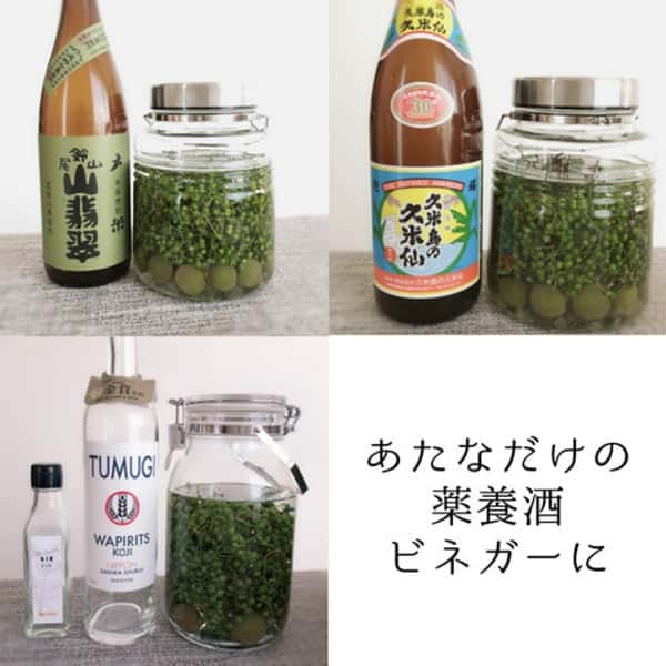 自然栽培★瞬冷凍★うまぶどう・野ぶどう果実【冷凍】
