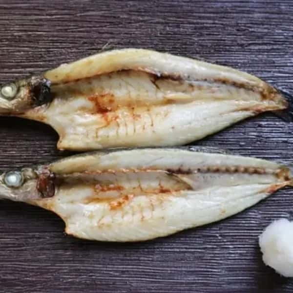 カマス