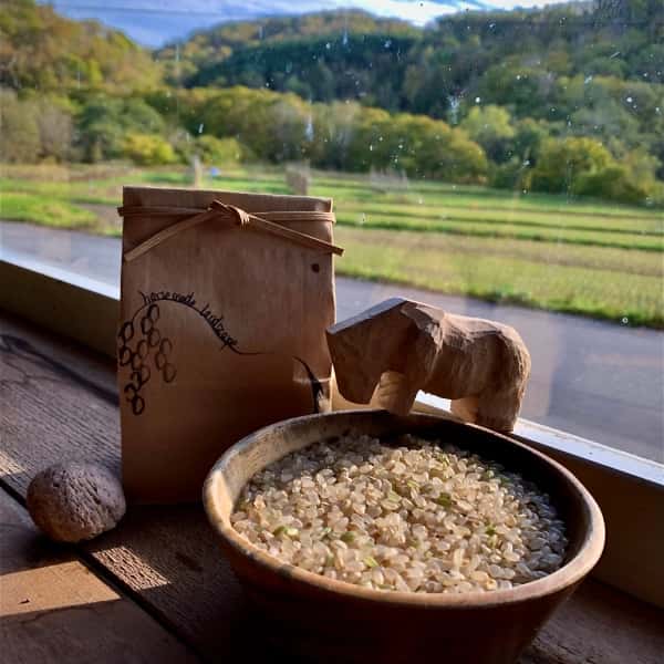 【令和8年度産】 馬耕米「ゆきひかり」北海道産（玄米・7分づき・白米/1kg/3kg/5kg）農薬・化学肥料不使用