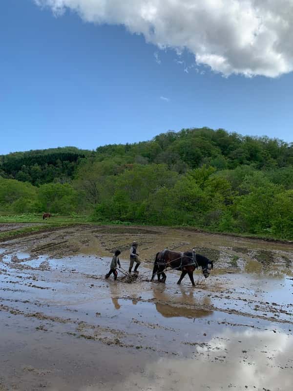 horsemade landscapeロゴ
