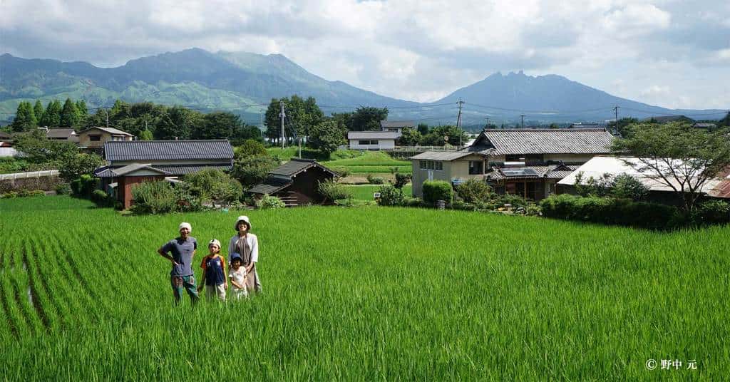星ヶ峰農園の商品一覧 背景