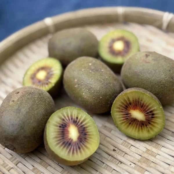 【未追熟】自然栽培キウイフルーツ 【農薬・肥料不使用】有機JAS認証 