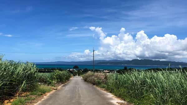屋我地島 イリ玉城農園ロゴ
