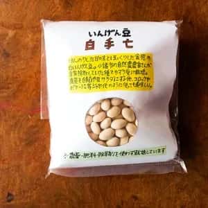 自家採種の在来いんげん豆 【白手亡】農薬・肥料・除草剤不使用