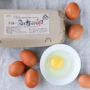 平飼い飛鳥の卵～こってり卵にさようなら