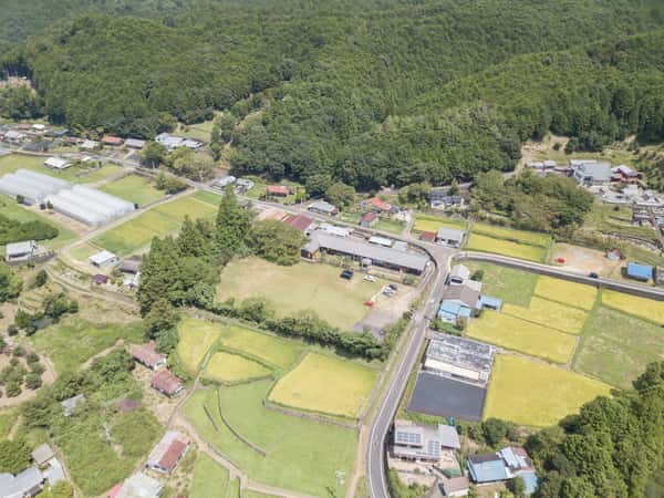 熊野薬草園ロゴ