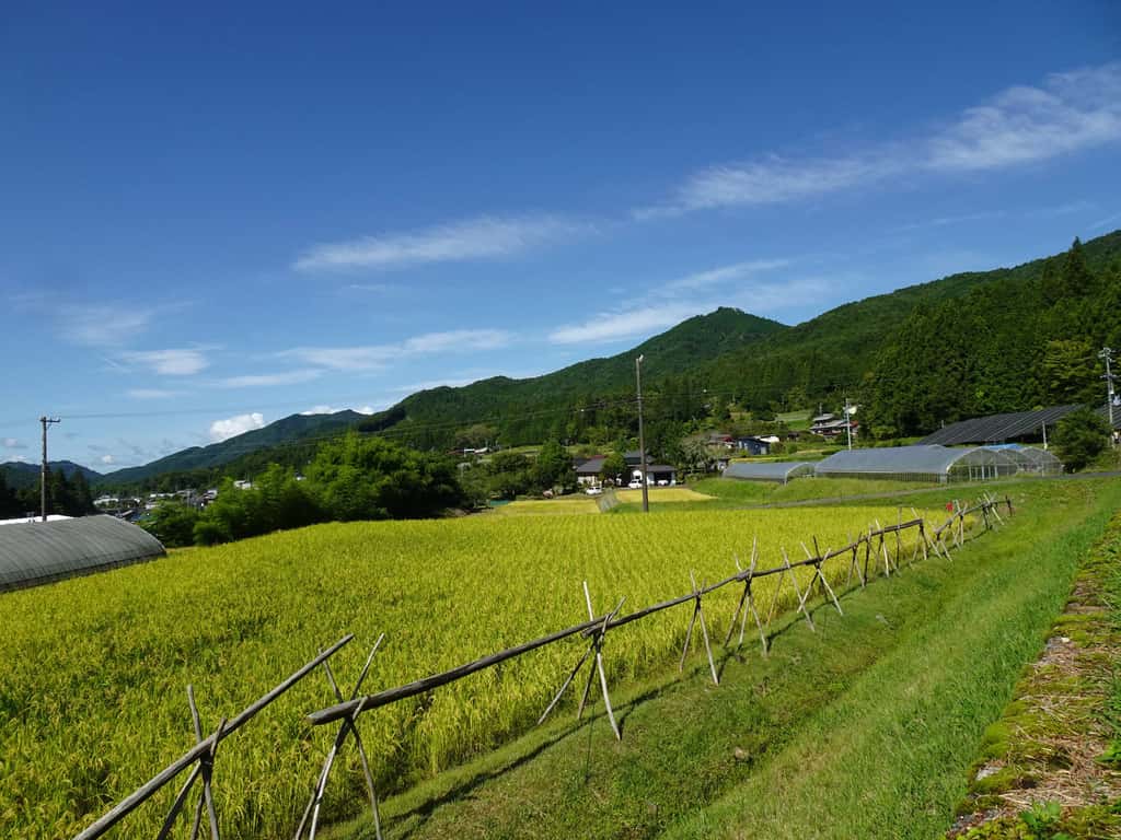黒川つばくろ農園の商品一覧 背景