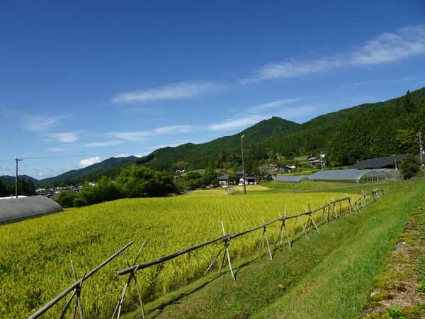 黒川つばくろ農園ロゴ