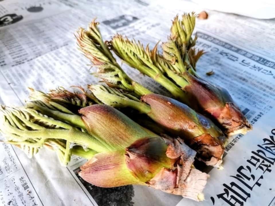 いま食べてほしい、季節のたべもの 背景