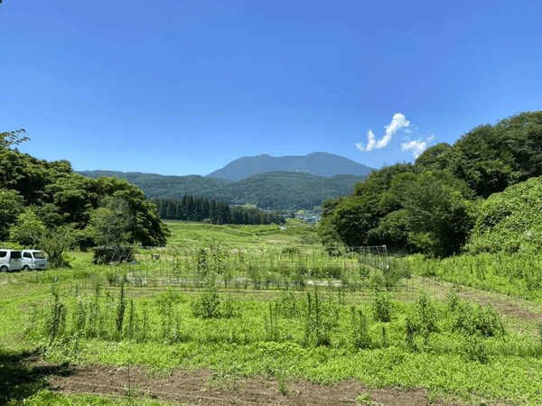 くろやなぎ農園ロゴ