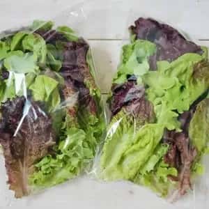 【シャキシャキのサラダを召し上がれ！！】食感が自然の力で育った、彩り豊かな　リーフレタス ミックス　100g/袋×4