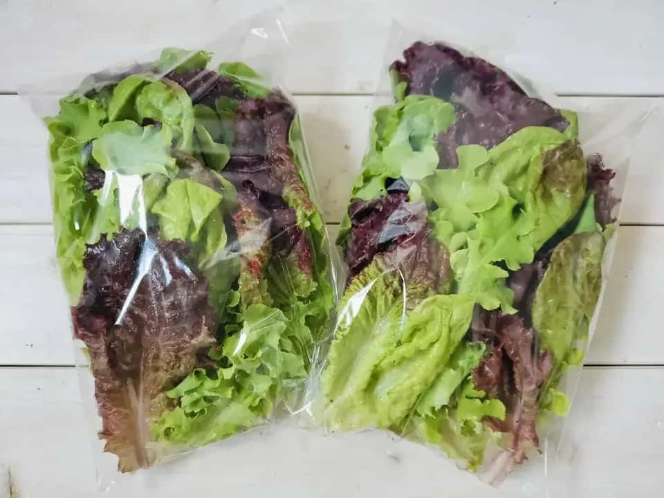 いま食べてほしい、季節のたべもの 背景