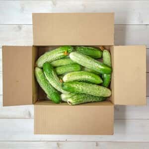 【お得なまとめ買い！！自家採種！！固定種のみ！！】自然栽培の半白きゅうり