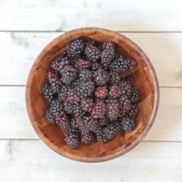 【旬のとれたての味をそのまま閉じ込めました！】自然栽培完熟ブラックベリー≪冷凍≫