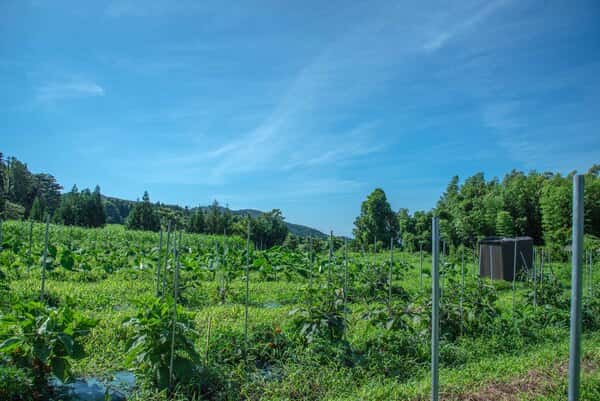 まえむき。Farm&Shopロゴ