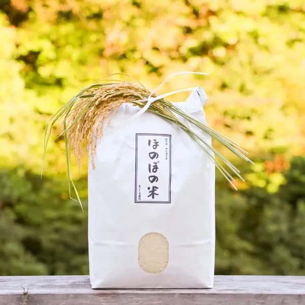 ＜新米目前割＞令和4年度産 / 「中生新千本」白米/玄米　自家採種・自然栽培