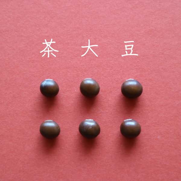豆【マロン豆　２００g】まさに栗！ご飯と炊けば栗ご飯ができます