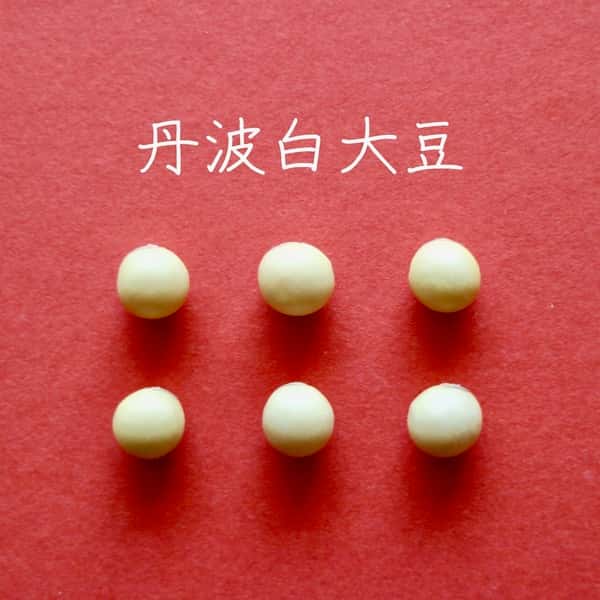 豆【丹波白大豆　２００g】豆ご飯にすれば栗ご飯に！