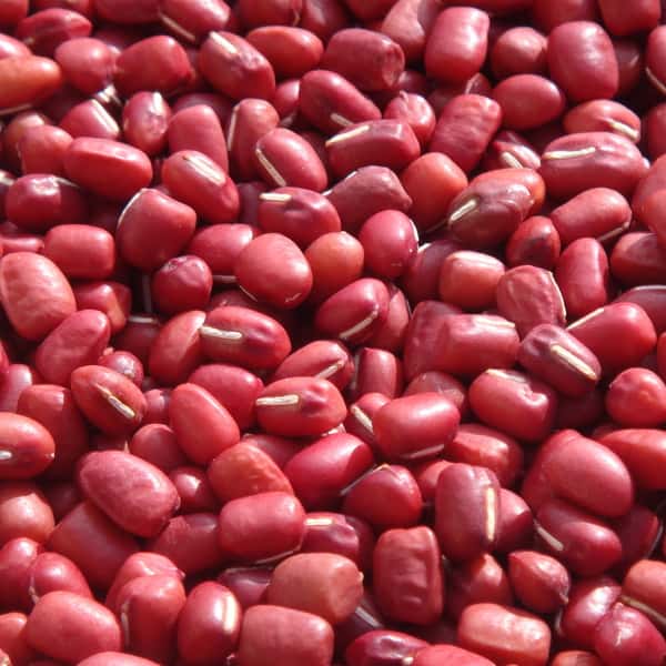 豆【丹波大納言小豆　２００g】味よし大きさよし香りよし、希少なブランド小豆です