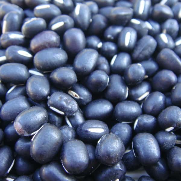 豆【黒小豆　２００g】小粒でも栄養満点！コク深い小豆です