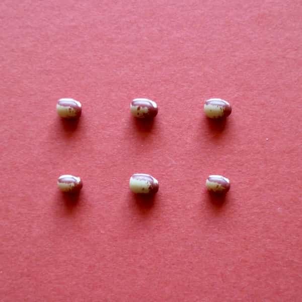 豆【花嫁小豆　２００g】見た目からは想像できないワイルドな味