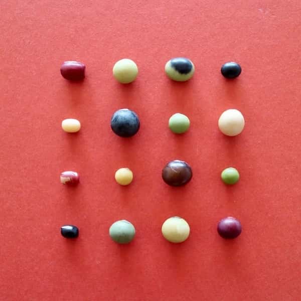 豆【ご希望の豆を選べるセット】色々な組合せ、いかがですか？