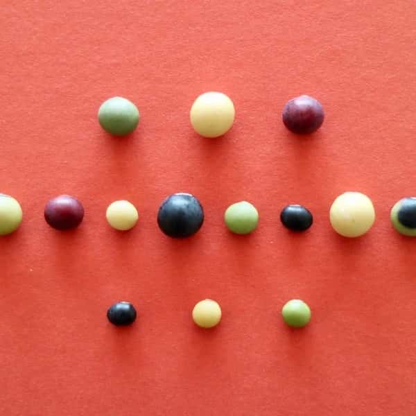 豆【３種類のミックスセット】一度に色々な大豆が楽しめます！