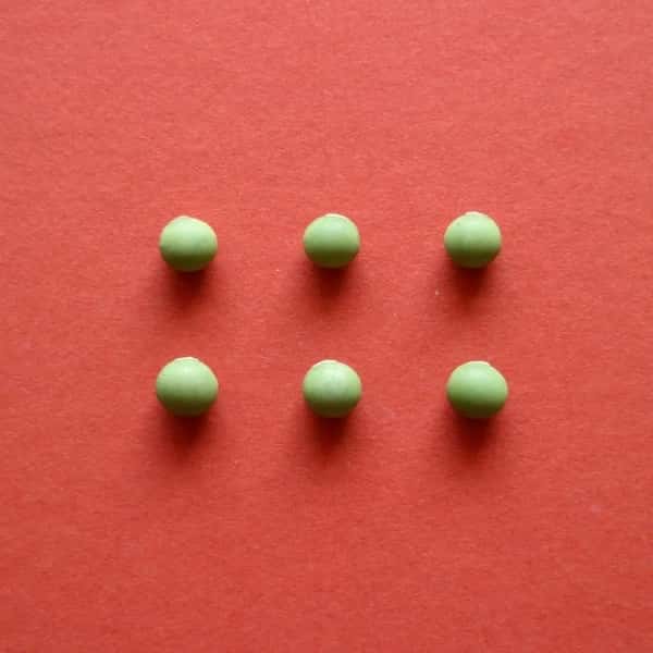 豆【青大豆（新潟在来）　２００g】塩茹ですると枝豆のような味の大豆です