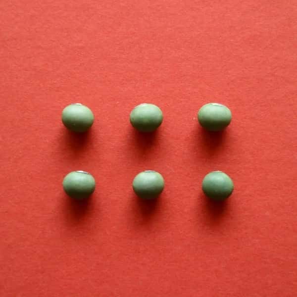 豆【あおばた豆　２００g】色も味も深く濃い青大豆