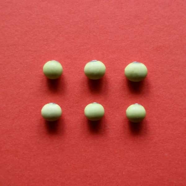 豆【サトウイラズ　２００g】砂糖がいらないくらい甘みの強い大豆です