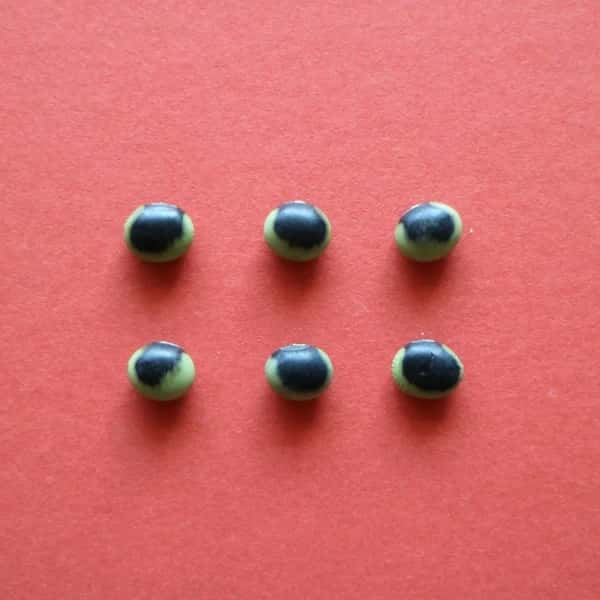 豆【鞍掛豆　２００g】ユニークな模様とコリコリ食感が特徴の大豆です