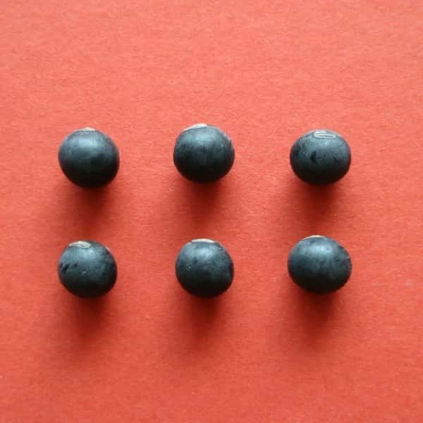 豆【お正月用　丹波黒大豆　２００g　８袋】本場丹波篠山産の丹波黒です