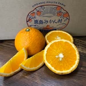 有機スイートスプリング