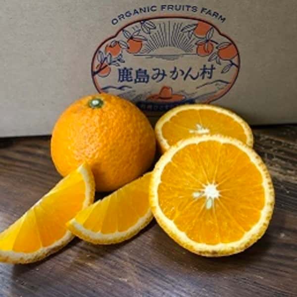 有機スイートスプリング