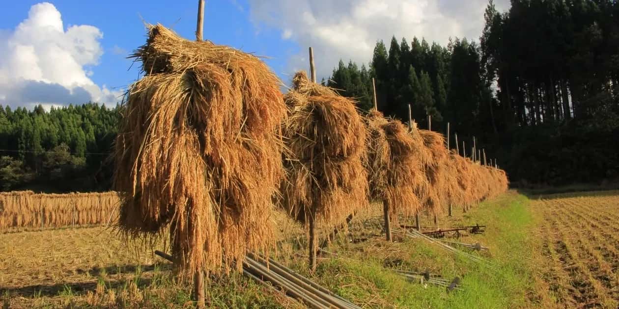 常温一覧 背景