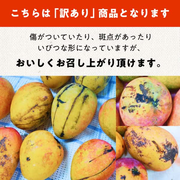 わけあり有機マンゴー