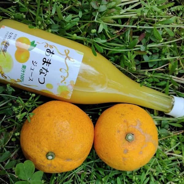 甘夏ジュース　自然栽培（農薬不使用・化学肥料不使用・除草剤不使用）で栽培された甘夏が原料