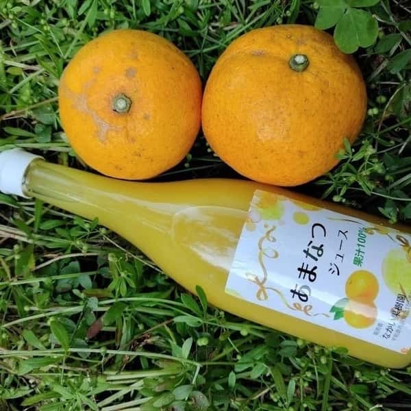 甘夏ジュース　自然栽培（農薬不使用・化学肥料不使用・除草剤不使用）の甘夏を使用した100%ジュース