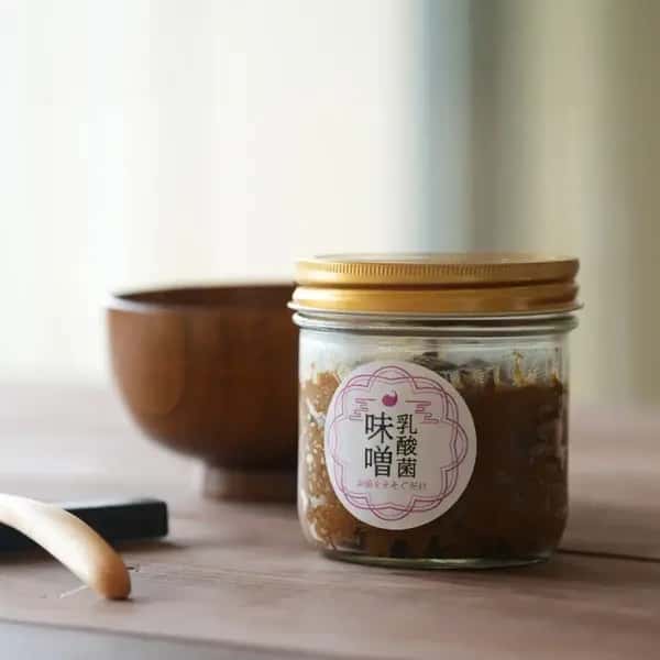 【乳酸菌味噌】お湯を注ぐだけで本物の味噌汁（20杯分）