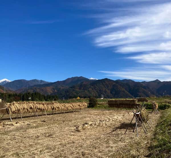 natural heartful farmロゴ
